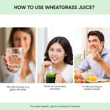 dr vaidya s wheatgr juice richesm