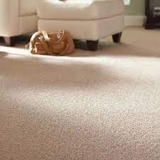We did not find results for: Types Of Carpet In 2021 Types Of Carpet Best Carpet Buying Carpet