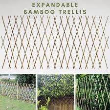 Qoo10 Pole Bamboo Trellis Expandable