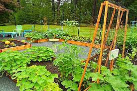 New York Country Style Potager Garden