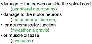 motor neuron disease flashcards quizlet