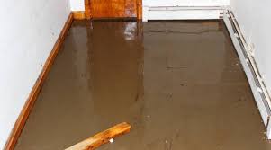 Best Flooring For Basements That Flood