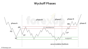 On this chart, we see again that the pinbar at the top of the expansion phase signaled that it was time for the currency pair to be sold off by the institutional players. Wyckoff Chart Analysis A Simple Overview Forex Opportunities