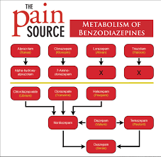Metabolism Of Benzodiazepines The Pain Source Makes