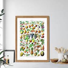 See more ideas about decor, diy home decor, diy wall. French Language Larousse Vintage Fruits Poster Print Kitchen Wall Decor 1920s Book Plate Retro Wall Art Canvas Painting Picture Painting Calligraphy Aliexpress