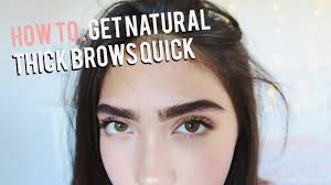 how to grow eyebrows fast thick