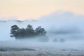 beau brouillard épais lever du soleil automne automne paysage de campagne  wi 1323369 Banque de photos