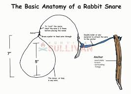 top 3 rabbit snare traps survival