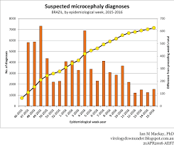 Vdus Blog Brazils Microcephaly And Cns Disturbance M Cd