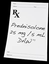 Welcome To Prednisolone Hoalkybb