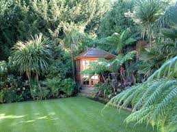 Urban Tropics Exotic Garden Hampstead