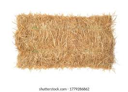 Image result for Hay Top