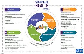 It can generally be considered as two separate entities. Workplace Health Model Workplace Health Promotion Cdc