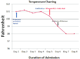 Line Chart Shows The Patients Temperature During The Course