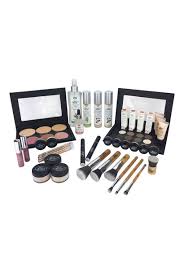 pro artist makeup kit pure anada