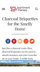 Charcoal Briquettes For The Smelly Home