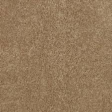 enhanced beauty warm sand carpet