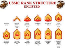 Image Result For Marine Corps Structure Chart Marine Corps