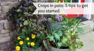 Success With Vegetable Container Gardening