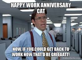 As a rule, this particular serve as a parody of a man. Happy Work Anniversary Cat Now If You Could Get Back To Work Now That D Be Greeaatt Make A Meme