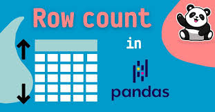 get pandas dataframe row count