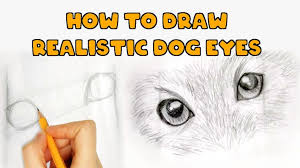 Secondly, by drawing 2 circles draw the eyes of a dog and a tail connected with a d shape. How To Draw Dog Eyes 10 Steps Drawing Dog