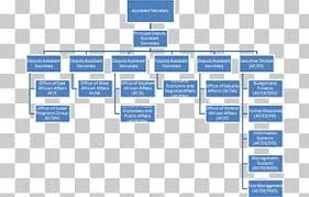 Organizational Chart Curtin University Diagram Png Clipart