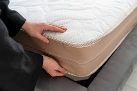 how much does bed bug treatment cost