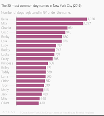 The 20 Most Common Dog Names In New York City 2016
