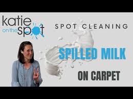 spot cleaning spilled milk on carpet