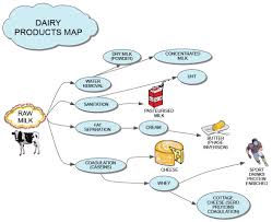 Dairy Products Foodgalaxy Explore How Fascinating Food