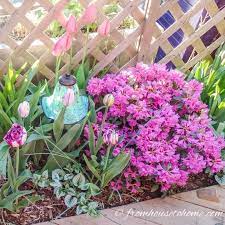 Spring Flower Combinations 8 Beautiful