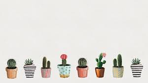 cute cactus hd wallpaper