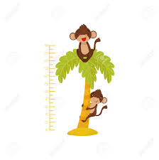 Height Chart For Children And Funny Monkeys On Palm Tree Tropical