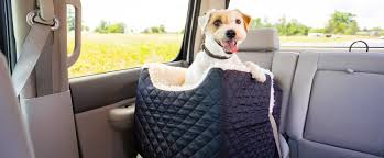 Snoozer Lookout I Dog Car Seats Dog