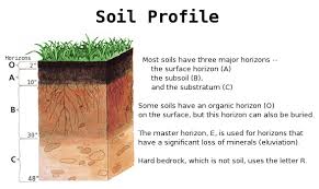 Introduction The 4 H Soil Activity Guide Has Been Designed
