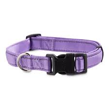 Good2go Reflective Purple Dog Collar Large In 2019