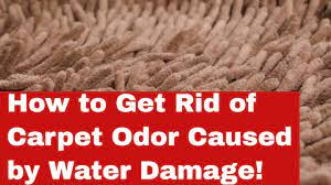 carpet odor from water damage