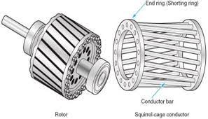 squirrel cage induction motor working