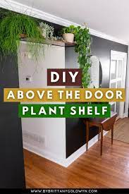 Hang A Diy Above The Door Plant Shelf