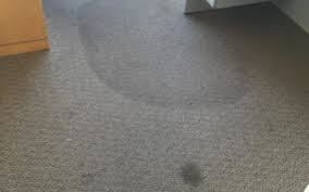 carpet cleaning pleasant hill ca
