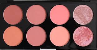 professional blush palette in hot e