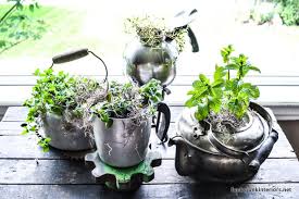 15 Diy Indoor Kitchen Herb Gardens