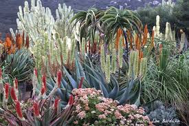 Southern California Gardens
