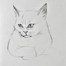 Как нарисовать кота | Блог «Онлайн-Школа №1»