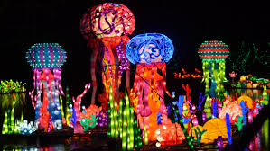 chinese lanterns light up the botanical