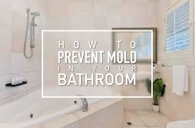stop mold in your bathroom before it