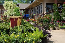 Not only should the selection of plants and garden flowers be dictated by specific climates, but the care and maintenance of planters themselves depend on climate as well. Pin On Garden Centre Nursery Flower Shop