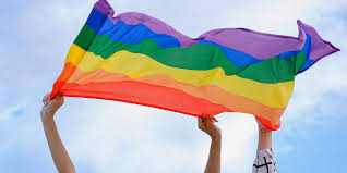 lgbtq flags and their meanings