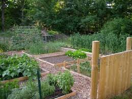Raised Beds Who Has A Cool Design